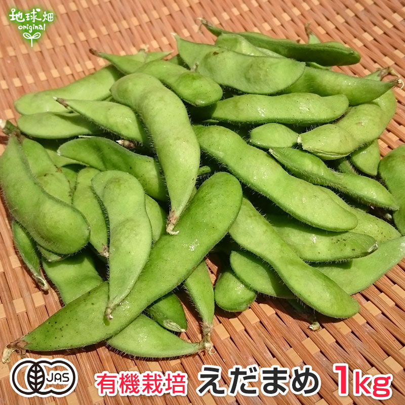 有機枝豆 1kg 鹿児島県産 生 有機JAS 枝豆 えだまめ 枝まめ エダマメ 無農薬 化学肥料・農薬不使用 有機栽培 冷蔵便 発送期間6月中旬〜7月 10月中旬のサムネイル