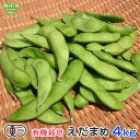 有機枝豆 4kg 鹿児島県産 生 有機JAS 枝豆 えだまめ 枝まめ エダマメ 無農薬 化学肥料・農薬不使用 有機栽培 冷蔵便 発送期間6月下旬~7月 10月下旬