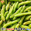 そら豆 4kg 有機栽培 鹿児島県産 農薬 化学肥料不使用 そらまめ 空豆 蚕豆 ソラマメ 冷蔵便 まとめ買い 業務用 送料無料 有機JAS 発送期間5月上旬迄