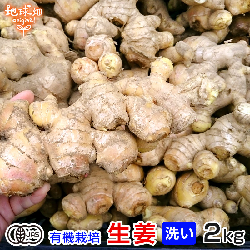 【6/4～6/11】生姜 2kg 有機栽培 冷蔵便 鹿児島県産 宮崎県産 農薬・化学肥料不使用 洗い 生 無農薬 有..