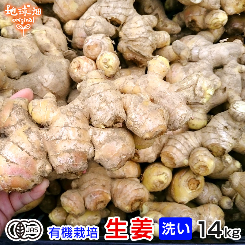 【6/4～6/11】生姜 14kg 有機栽培 冷蔵便 鹿児島県産 宮崎県産 農薬・化学肥料不使用 洗い 生 無農薬 ..