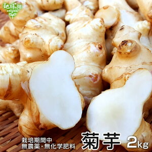 菊芋 2kg 化学肥料・農薬不使用 宮崎県産 鹿児島県産 熊本県産 イヌリン 天然のインシュリン 血糖値 オリゴ糖 きくいも キクイモ 生 無農薬