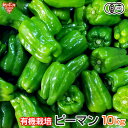 ピーマン 有機栽培 10kg 鹿児島県産 熊本県産 有機JAS 農薬・化学肥料不使用 ぴーまん 青椒肉絲 肉詰め 無農薬 冷蔵便 国産