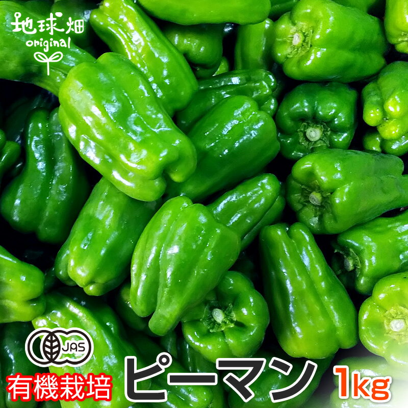 ピーマン 有機栽培 1kg 鹿児島県産 宮崎県産 有機JAS 農薬・化学肥料不使用 ぴーまん 青椒肉絲 肉詰め 無農薬 冷蔵便 国産