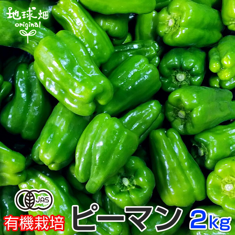 ピーマン 有機栽培 2kg 鹿児島県産 宮崎県産 有機JAS 農薬・化学肥料不使用 ぴーまん 青椒肉絲 肉詰め 無農薬 冷蔵便 国産