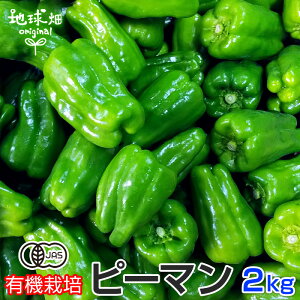 ピーマン 有機栽培 2kg 鹿児島県産 宮崎県産 有機JAS 農薬・化学肥料不使用 ぴーまん 青椒肉絲 肉詰め 無農薬 冷蔵便 国産