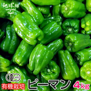 ピーマン 有機栽培 4kg 鹿児島県産 宮崎県産 有機JAS 農薬・化学肥料不使用 ぴーまん 青椒肉絲 肉詰め 無農薬 冷蔵便 国産