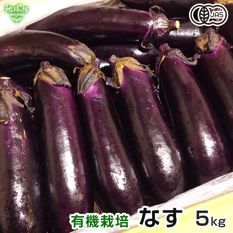 なす 5kg 有機栽培 鹿児島県 宮崎県 冷蔵便 有機JAS なすび 茄子 ナス 夏野菜 発送期間6月〜9月