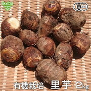 里芋2kg有機栽培鹿児島県産土付きさといもサトイモ里いもオーガニック無農薬送料無料