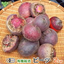 乾燥野菜 国産 乾燥 野菜 国産野菜100％使用 11種類から選べる4個セット 吉良食品 キャンプ アウトドア 登山 乾燥野菜ミックス カット野菜 干し野菜 お手軽 時短 ドライベジ