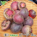 国産 よもぎの生葉 [1kg] 業務用 農薬不使用 期間限定 手摘み 天然 フレッシュ 青果 草餅 草団子 よもぎパン 製菓 製パン 2024年5月6日ご注文分で一旦終了、次回5月中頃以降収穫。2024年6月末頃まで収穫予定。