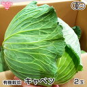 地球畑 キャベツ 2玉 有機栽培 鹿児島県産