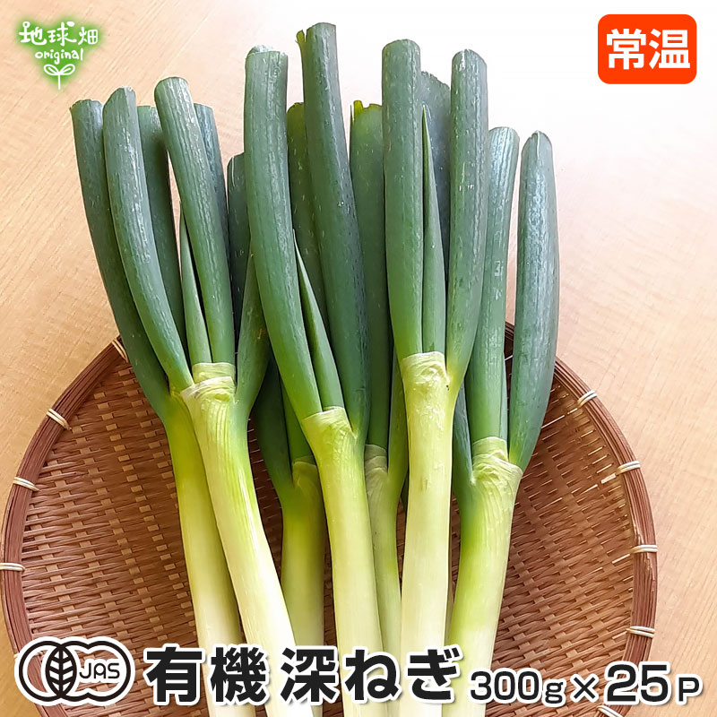 楽天地球畑深ねぎ 300g×25P 有機栽培 常温便 有機JAS 鹿児島県産 宮崎県産 長ねぎ 長ネギ 白ねぎ 白ネギ 白葱 ふかねぎ 深葱 深ネギ 鍋 薬味 オーガニック organic 発送期間12月〜4月上旬