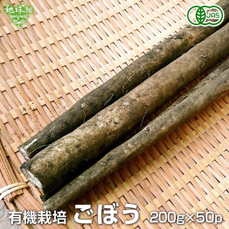 ごぼう 200g×50p 有機栽培 冷蔵便 鹿児島県産 宮崎県産 有機野菜 ゴボウ 牛蒡 化学肥料・農薬不使用 土付き 国産 きんぴら オーガニック organic 無農薬