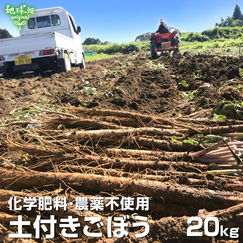 ごぼう 20kg 化学肥料・農薬不使用 常温便 鹿児島県産 宮崎県産 ゴボウ 牛蒡 土付き バラ 国産 まとめ..