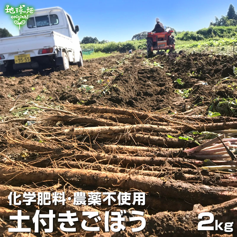 ごぼう 2kg 化学肥料・農薬不使用 冷蔵便 鹿児島県産 宮崎県産 ゴボウ 牛蒡 土付き バラ 国産 きんぴら..