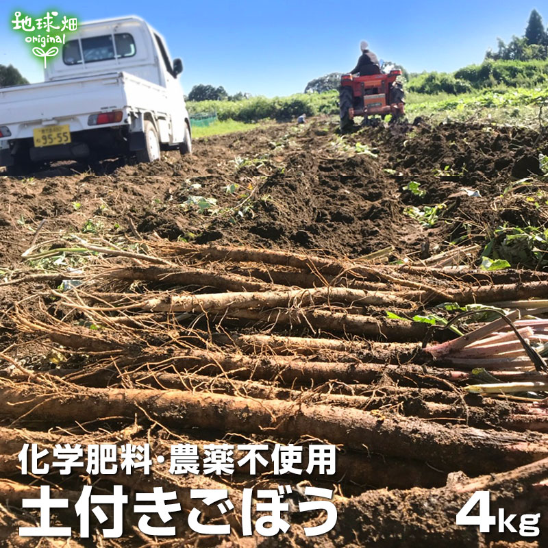 ごぼう 4kg 化学肥料・農薬不使用 常温便 鹿児島県産 宮崎県産 ゴボウ 牛蒡 土付き バラ 国産 きんぴら..