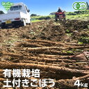 ごぼう 4kg 有機栽培 冷蔵便 鹿児島県産 宮崎県産 ゴボウ 牛蒡 化学肥料・農薬不使用 土付き バラ 国産 きんぴら 金平 オーガニック organic 無農薬 発送期間6月~