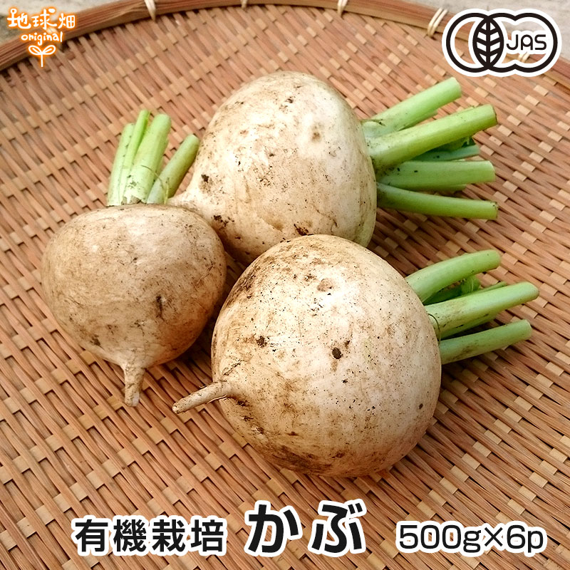 かぶ 500g×6P 有機栽培 冷蔵便 鹿児島県産 宮崎県産 土付き オーガニック organic 蕪 カブ 送料無料