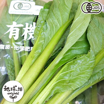 小松菜 200g×10P 有機栽培 鹿児島県産 無農薬 オーガニック organic こまつな コマツナ 冷蔵便