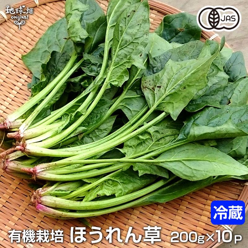 ۤ200g10Pͭ