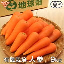 地球畑 有機人参 9kg
