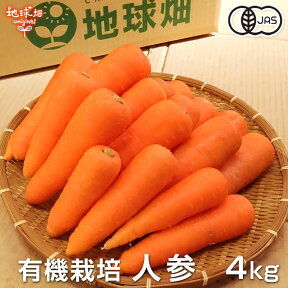 人参 4kg 有機栽培 冷蔵便 鹿児島県産 宮崎県産 有機JAS認証 洗い にんじん ニンジン organic 無農薬 化学肥料・農薬不使用 カロテン A品 秀品 人参ジュース用