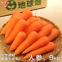 残りわずか 人参 9kg 化学肥料・農薬不使用 鹿児島県産 宮崎県産 冷蔵便 洗い にんじん ニンジン 人参ジュース用 発送期間3月~7月中旬