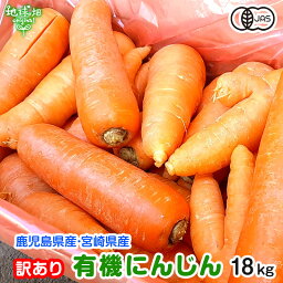 訳あり にんじん 18kg 有機栽培 冷蔵便 鹿児島県産 宮崎県産 化学肥料・農薬・除草剤不使用 ジュース用 規格外 わけあり B品 人参 有機JAS 発送期間11月下旬～6月