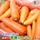 訳あり にんじん 4kg 有機栽培 冷蔵便 鹿児島県産 宮崎県産 化学肥料・農薬・除草剤不使用 ジュース用 規格外 わけあり B品 人参 有機JAS 発送期間11月下旬～6月