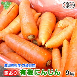 訳あり にんじん 9kg 有機栽培 冷蔵便 鹿児島県産 宮崎県産 化学肥料・農薬・除草剤不使用 ジュース用 規格外 わけあり B品 人参 有機JAS 発送期間11月下旬～6月