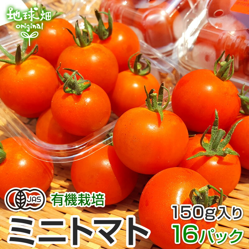 ミニトマト 有機栽培 150g×16p 鹿児島県産 冷蔵便 有機JAS 農薬・化学肥料不使用 プチトマト とまと パック入り 無農薬 国産 発送期間6..