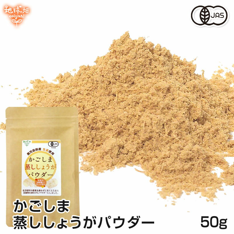 かごしま蒸ししょうがパウダー 50g 有機生姜使用 有機JAS 生姜パウダー 農薬・化学肥料不使用 無添加 粉末 鹿児島県産 ジンジャー ショウガ（メール便送料無料）