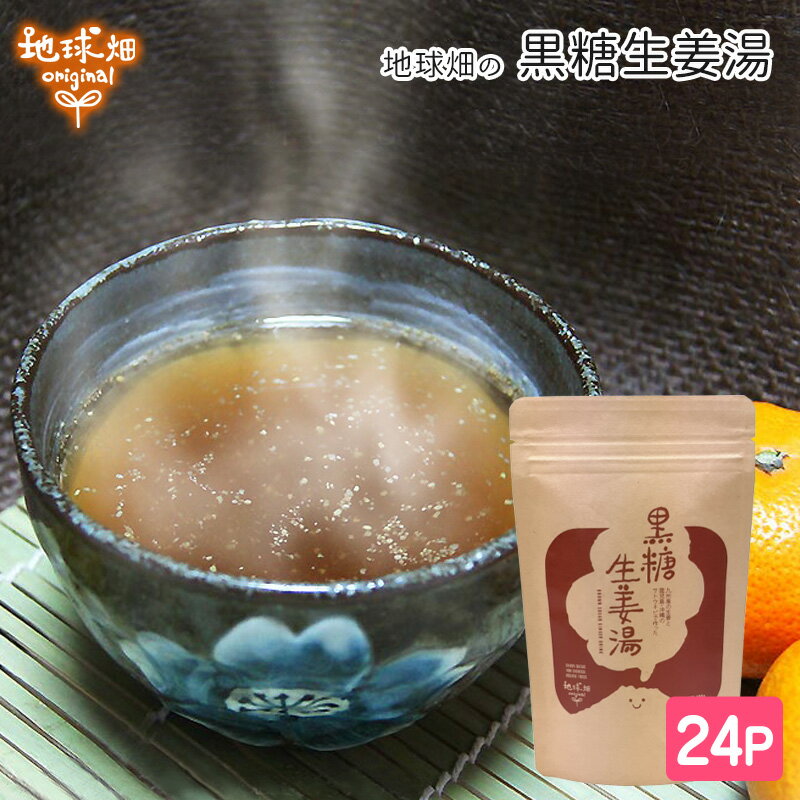 黒糖生姜湯 100g×24p 鹿児島・沖縄の黒糖と生姜 しょうが湯 ショウガ ジンジャーティー 無添加 しょうがゆ 国産 まと…