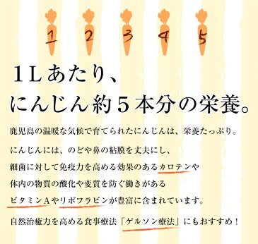 りんごにんじんジュース 200ml×12本 送料無料 有機栽培 鹿児島県産 ニンジン 人参ジュース 有機人参 無農薬 無添加