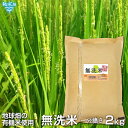 無洗米 一分搗き米 2kg 鹿児島県産 2020年産 有機米使用 化学肥料・農薬・除草剤・防腐剤不使用 むせんまい 一部付き 一分米 玄米 時短 送料無料 一人暮らし 単身赴任