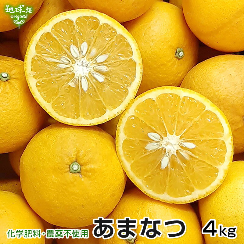 甘夏 4kg 化学肥料・農薬不使用 熊本県産 鹿児島県産 大きさおまかせ 柑橘 みかん あまなつ orange 送料無料 常温便 発送期間2月上旬～