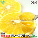 国産 有機グレープフルーツ 20kg 熊本県産 有機JAS 有機栽培 化学肥料・除草剤・防腐剤不使用 大きさおまかせ 柑橘 中晩柑 ご自宅用 酸味が強いダンカン種 常温便 発送期間4～5月