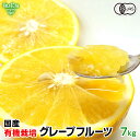 国産 有機グレープフルーツ 7kg 熊本県産 有機JAS 有機栽培 化学肥料・除草剤・防腐剤不使用 大きさおまかせ 柑橘 中…
