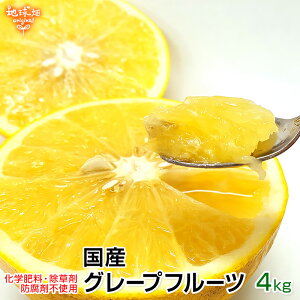 残りわずか グレープフルーツ 4kg 特別栽培 冷蔵便 熊本県産 貴重な国産 化学肥料・除草剤・防腐剤不使用 大きさおまかせ 鹿児島県産 柑橘 中晩柑 ご自宅用 送料無料 酸味が強いダンカン種