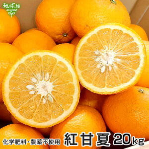 紅甘夏 20kg 化学肥料・農薬不使用 鹿児島県産 熊本県産 大きさおまかせ 柑橘 みかん べにあまなつ orange 送料無料 常温便