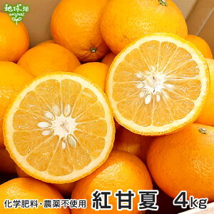 紅甘夏 4kg 化学肥料・農薬不使用 鹿児島県産 熊本県産 大きさおまかせ 柑橘 みかん べにあまなつ orange 送料無料 常温便