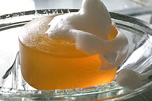 ���� �����ס�100g �ͥå��� ŷ�� ���� �������˥å�