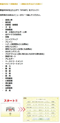 送料無料数霊MINI(ミニ)波動測定波動転写水健康美容運贈り物プレゼント家族ギフト誕生日宇宙エネルギー異次元レベル