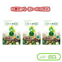 母の日 ギフト ランキング 楽天 ユーグレナと酵素121 100粒入 3個セット ユーグレナ 健康食品 サプリメント ミドリムシのちから100