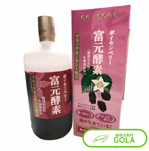 \ BLACK FRIDAY / 富元酵素ボイセンベリー・ブラックカーラント配合 健康食品 富元酵素 酵素 酵母