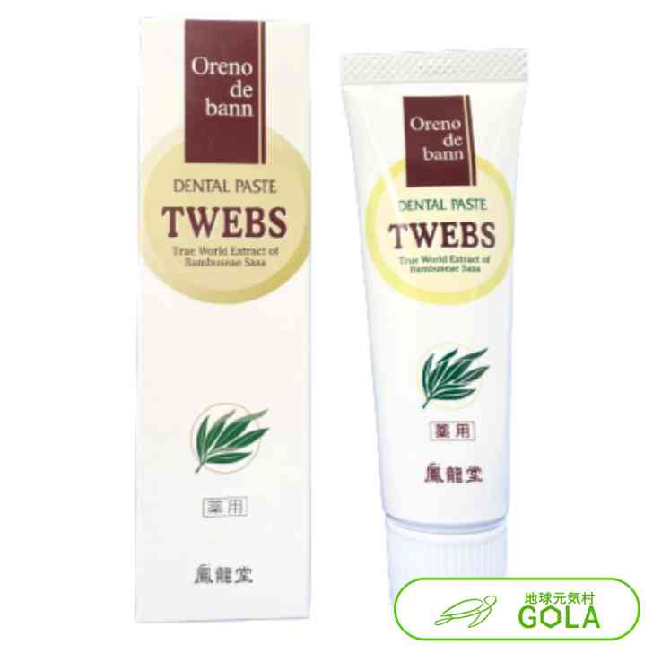 ＼ お買い物マラソン ／ オレノデ・バン デンタルペースト (薬用) TWEBS 40g 歯磨きペースト 歯磨き粉