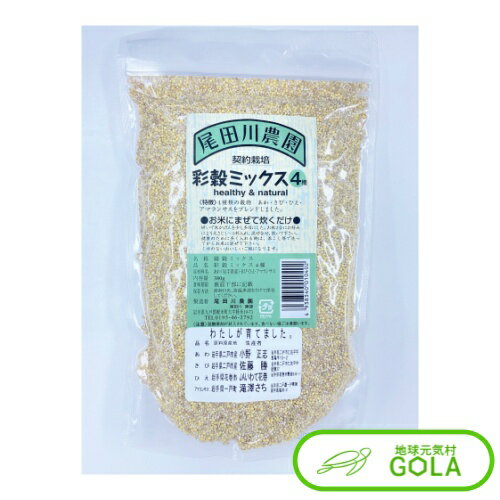 ＼ 大感謝祭 ／ 彩穀ミックス4種 380g 尾田川農園 たんぱく質 ミネラル 鉄分 食物繊維のサムネイル