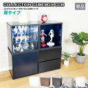 地球家具 コレクション キューブボックス 扉タイプ CCB コレクションケース 木製 扉付き