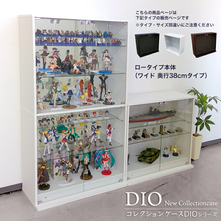 地球家具 コレクションラック DIO デ